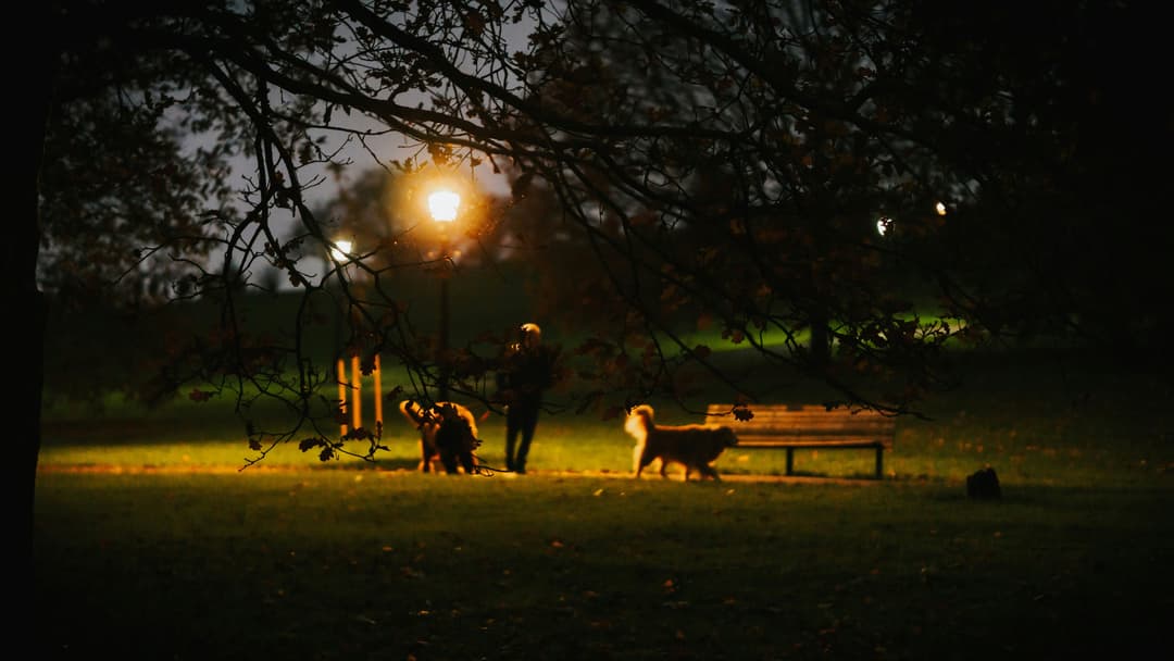 London skyline from Primrose Hill